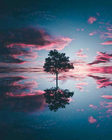 Diamond Painting Boom reflectie bij zonsondergang met Ronde steentjes 100x80cm - Beste Kwaliteit